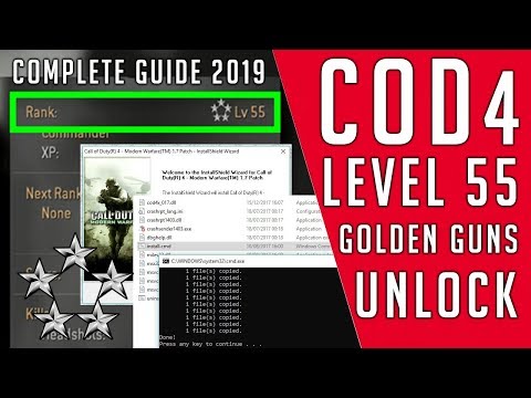 mpdata call of duty 4 level 55 hack software